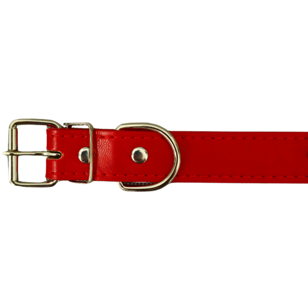 Collar Perro Mediano Ajustable - Estilo y Duradero 25mm x 55cm - Imagen 3