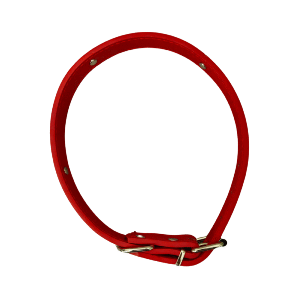 Collar Perro Mediano Ajustable - Estilo y Duradero 25mm x 55cm - Imagen 2
