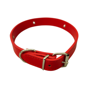 Collar Perro Mediano Ajustable - Estilo y Duradero 25mm x 55cm