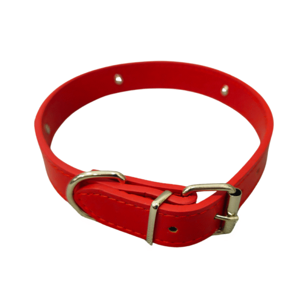 Collar Perro Mediano Ajustable - Estilo y Duradero 25mm x 55cm