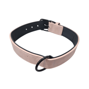 Collar Unicolor para Perro Mediano - 30mm x 60cm