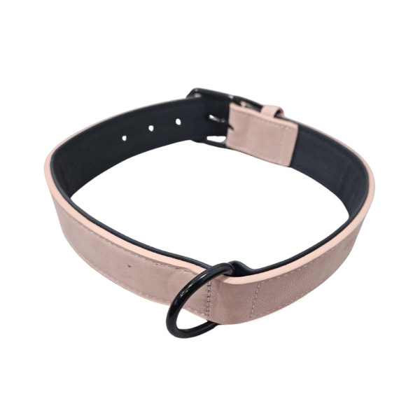 Collar Unicolor para Perro Grande - 35mm x 65cm - Imagen 3