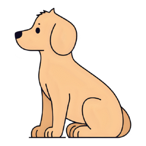 Perro