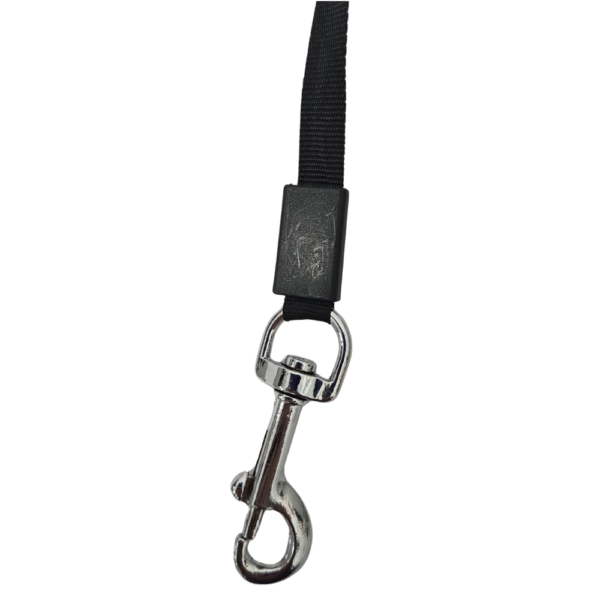 Correa Retráctil para Perros – 3m | Hasta 15kg - Imagen 4