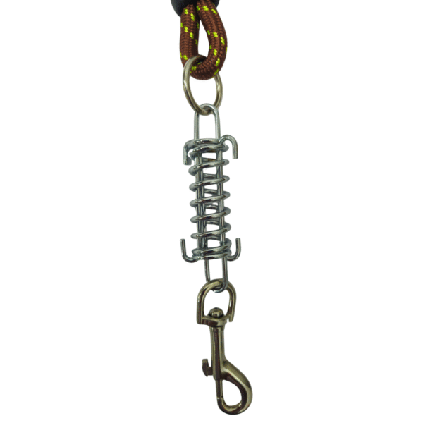 Correa de Paseo con Amortiguador para Perros Medianos (10-20 kg) - Imagen 2