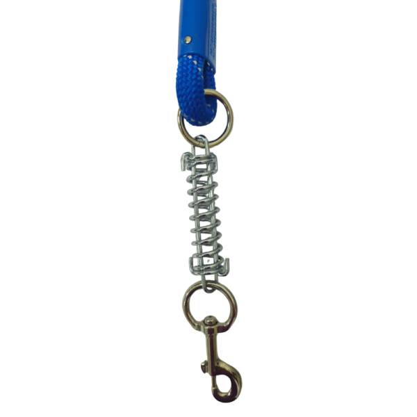 Correa para Perro con Resorte Amortiguador – 18mm x 75cm - Imagen 2