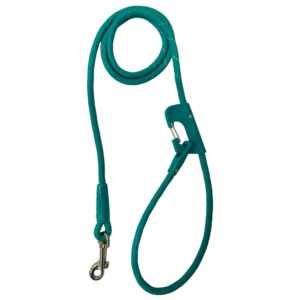 Correa para Perros con Anclaje – 8mm x 120cm