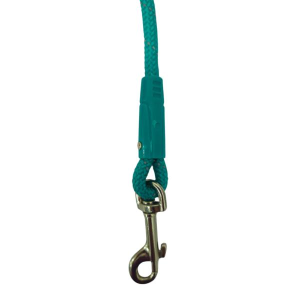 Correa para Perros con Anclaje – 8mm x 120cm - Imagen 3