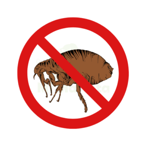 Anti Pulgas